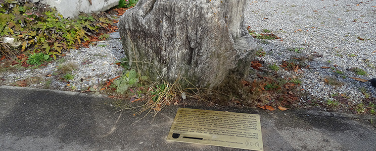 Mahntafel auf Geweg in Eichstegen